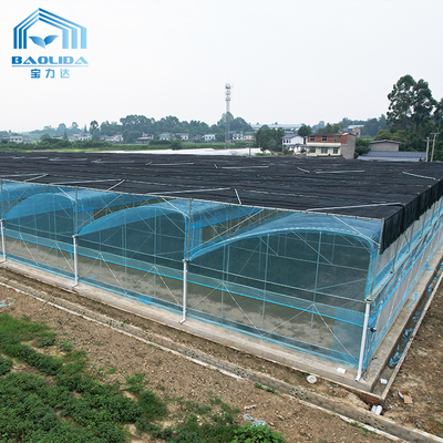 Kit Rumah Kaca Pertanian Multi-Span 6m-12m dengan Garansi 10 Tahun
