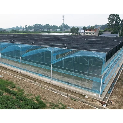 Kit Rumah Kaca Film PE Multi-Span Lebar 6m-12m Garansi 10 Tahun