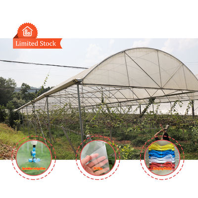 Economical Multispan Rain Shelter Greenhouse with Hot Galvanized Steel Frame for Kiwi Growing