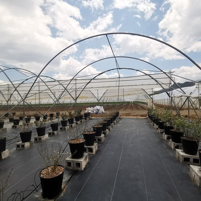 Large Size PE Material Rain Shelter Greenhouse with Hot Galvanized Steel Frame for Plants Cultivation