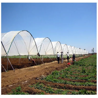 Large Size PE Material Rain Shelter Greenhouse with Hot Galvanized Steel Frame for Plants Cultivation