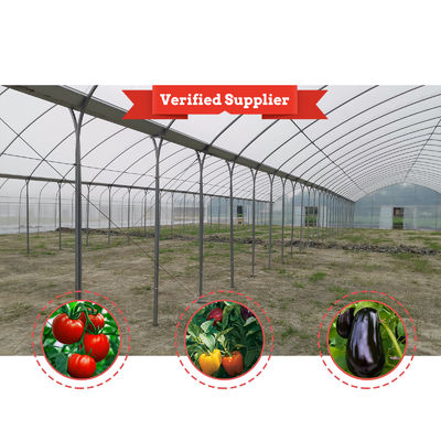 Large Size PE Material Rain Shelter Greenhouse with Hot Galvanized Steel Frame for Plants Cultivation