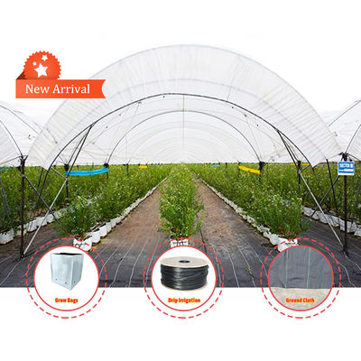 Large Size PE Material Rain Shelter Greenhouse with Hot Galvanized Steel Frame for Plants Cultivation