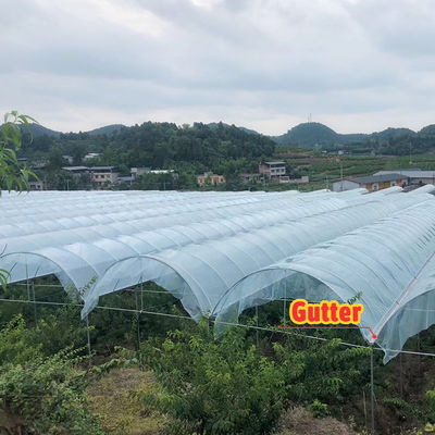 Large Size PE Material Rain Shelter Greenhouse with Hot Galvanized Steel Frame for Plants Cultivation
