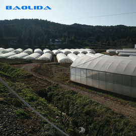 Farm Tunnel Polyethylene Film Greenhouse / Rumah Kaca Plastik Bening Untuk Berbagai Sayuran