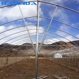 Struktur Stabil Rumah Kaca Film Polietilen / Rumah Kaca Tanaman Tomat Sayuran