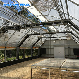 Pertanian Otomatis Terowongan Plastik Rumah Kaca Pertumbuhan Tomat Pertanian