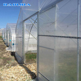 Singlespan Growing Farming Polyethylene Film Greenhouse Untuk Sayuran
