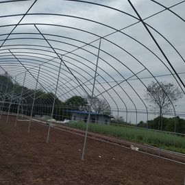 Single Span Plastic Tunnel Greenhouse Polyethylene Farm Pertanian Dukungan