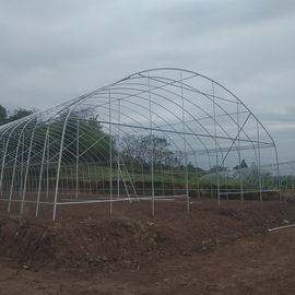 Single Span Plastic Tunnel Greenhouse Polyethylene Farm Pertanian Dukungan