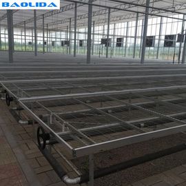 Seedbed Ebb Plastic Greenhouse Tables Struktur Stabil Sertifikasi ISO9001
