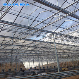 Multi Span Venlo Type Greenhouse / PC Polyethylene Film Greenhouse Sides Ventilasi