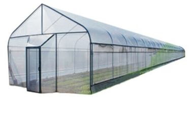 Clear Plastic Film Single-span Greenhouse Untuk Bingkai Struktur Stabil Pertanian