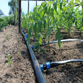 Sistem Irigasi Rumah Kaca Pertanian / Sistem Penyiraman Polytunnel Sprayer