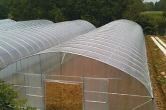 Tenda Rumah Kaca Luar Ruangan Kecil / Sayuran Tumbuh Tenda Mudah Dipasang