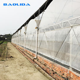 Struktur Galvanis Panas Rumah Kaca Pertanian Polytunnel Rumah Kaca Multi-Bentang Tahan Angin