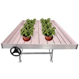 Komersial Greenhouse Rolling Benches / Benih Benih Rumah Kaca Bench untuk Bunga