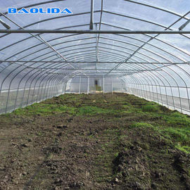 Pertanian Single Span Hot Dip Galvanized Pipe Tunnel Rumah Kaca Plastik Untuk Strawberry