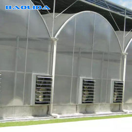 Plastik Rumah Kaca Polycarbonate Sheet Indah Dengan Atap Kubah Disesuaikan
