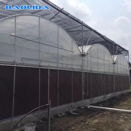 Terowongan Tomat Prefabrikasi Multi Span Greenhouse Dukungan Sayuran Yang Berbeda