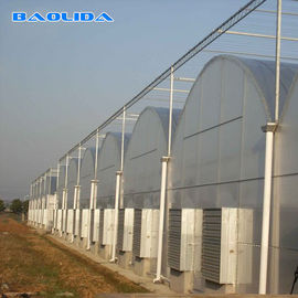 Terowongan Tomat Prefabrikasi Multi Span Greenhouse Dukungan Sayuran Yang Berbeda