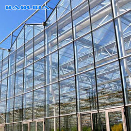 Pertanian Venlo Style Greenhouse Flower Pertumbuhan Baik Tahan Air Anti Usia