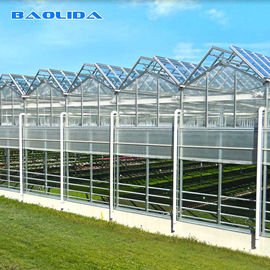 Multi Span Venlo Glass Greenhouse Kapasitas 140mm / H Bersertifikat ISO9001