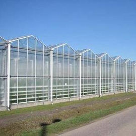 Stabilitas Venlo Type Greenhouse / Venlo Glasshouse Standar Tinggi Penampilan Bagus