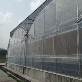 Clear 200 Micron Film Coverd Polycarbonate Greenhouse Kit Rumah Kaca Multi Bentang