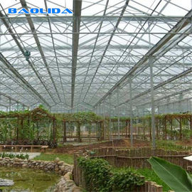 Multi Span Tunnel 8mm Polycarbonate Sheet Greenhouse Untuk Berkebun