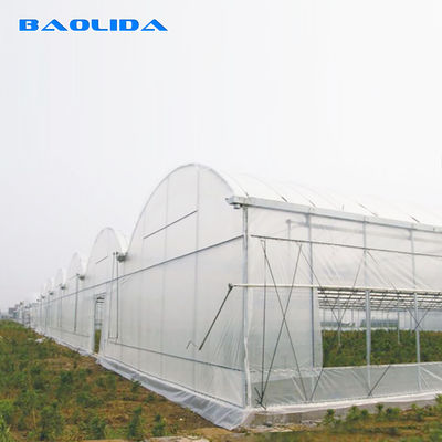 Sistem Pendingin Film Plastik200 Micron Reinforced Plastic Sheeting Greenhouse Multi Span Greenhouse