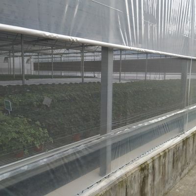 Terpal Plastik Polietilen Sayuran Rangka Baja Galvanis Rumah Kaca