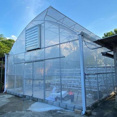 Ventilasi Samping Rumah Kaca Film Polietilen Tumbuh Sayuran Bentang Tunggal
