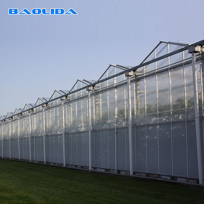 Pertanian Multi Span Venlo Glass Greenhouse Untuk Penanaman Tomat