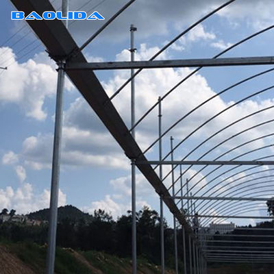 Rumah Kaca Multispan Tahan Angin Tembok Lurus Tinggi Dengan Talang