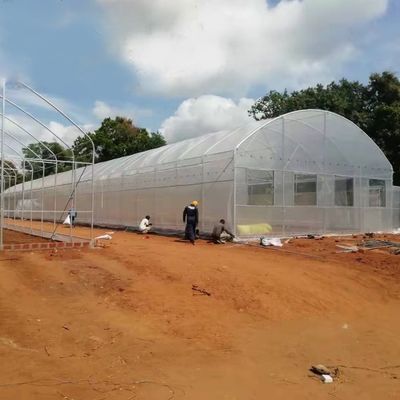 Rumah Kaca Film Plastik Terowongan Bentang Tunggal Pertanian Tropis