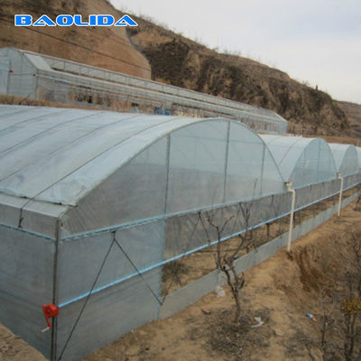 Terowongan Plastik Rentang Tunggal Galvanis Rumah Kaca Sayuran Disesuaikan Tumbuh