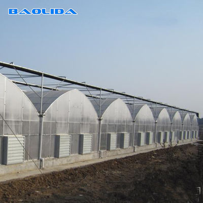 Tanaman Pertanian Tumbuh Sistem Pendinginan Rumah Kaca Multispan Dengan Ventilasi Atas / Samping