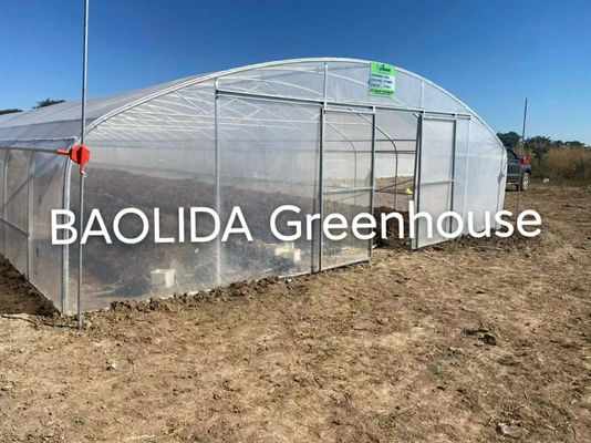 Terowongan Sayuran Rentang Tunggal Plastik Grow House Pertanian Galvanis