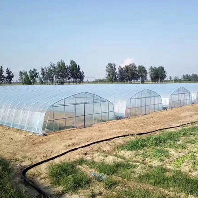 Lebar 8m 9m 10m Terowongan Rumah Kaca Plastik Untuk Tumbuh Sayuran