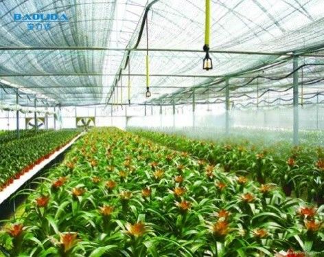 Ventilasi Kaca Tempered Hot Galvanized Insulated Venlo Type Greenhouse