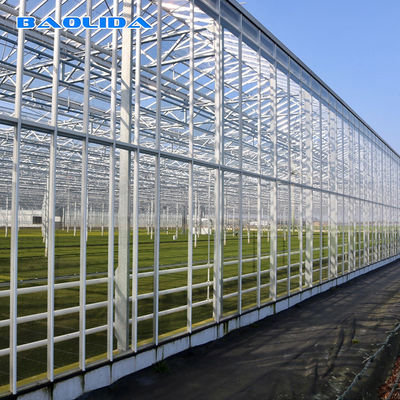 Tunnel Venlo Glass Greenhouse Kontrol Iklim Sepenuhnya Otomatis