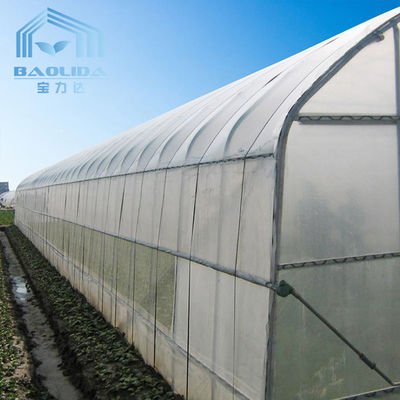 Terowongan Rumah Kaca Span Tunggal Untuk Sayuran Menumbuhkan Pertanian Pertanian