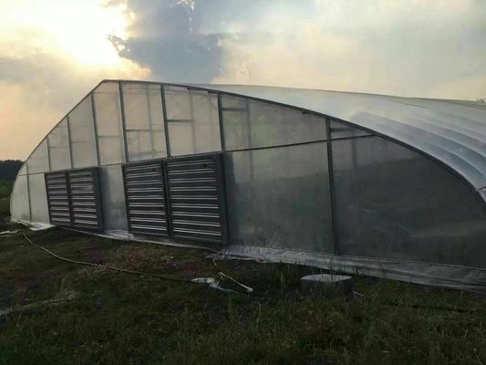 Galvanized PE Film Single Span Greenhouse Untuk Sayuran 9x30m