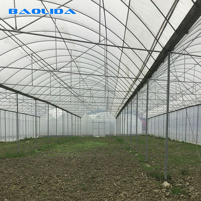 Sistem Tanam Tomat Film Plastik Industri Komersial Pertanian 150 Rumah Kaca Multi Bentang Mikro