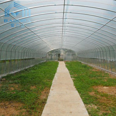 Tanaman Pertanian Menanam Pertanian Film Polietilen Rumah Kaca Plastik Terowongan Rentang Tunggal