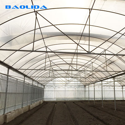 Pipa Baja Galvanis Film Plastik Pertanian Multi Span Tunnel Greenhouse Untuk Sayuran