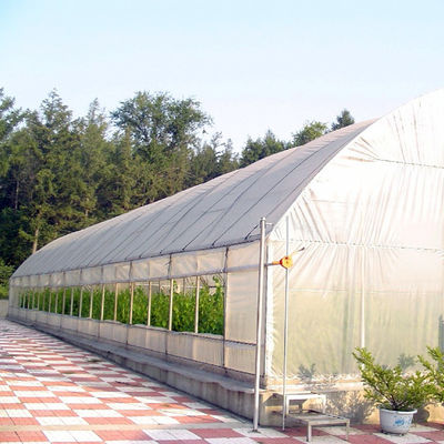 Rumah Kaca Tomat Poli Terowongan Pertanian Kekuatan Tinggi 5 * 15m 17 * 50ft