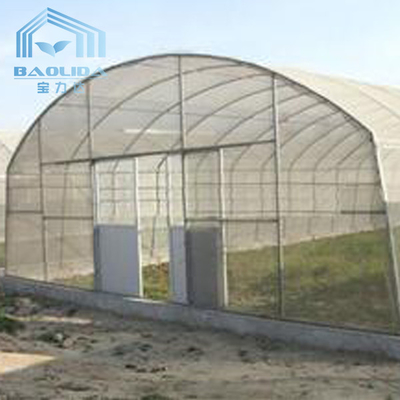 Film Plastik Tropis Cross Top Sawtooth Greenhouse Single Span Tunnel Plastic Greenhouse
