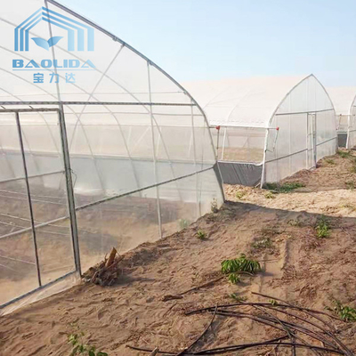 Winter Garden Plant Solar Hangat Terowongan Rumah Kaca Plastik Dengan Pemanas